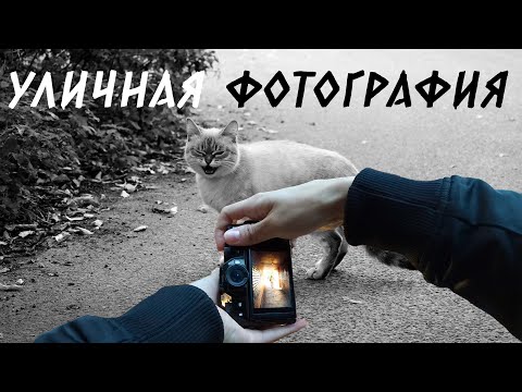 Видео: Уличная фотография. Осенние дворы и коты | Street photography | Fujifilm X-T10