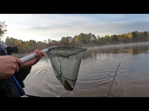 Видео: Ловля судака на кирпич. Рыболовные приключения ! Две реки в одной рыбалки