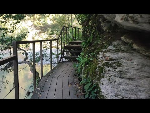Видео: Тисо-Самшитовая роща, Сочи.