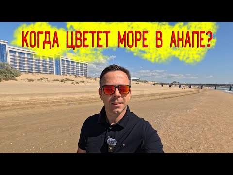 Видео: Когда цветет море в Анапе? Раскрываю все тайны! Самая точная информация!