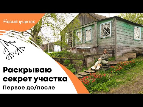 Видео: Раскрываю секрет участка | Первое до/после