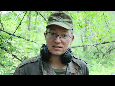 Видео: Коп по старине. Хорошие лесные находки. Монеты Василия 3 - Ивана 4 "Грозного"