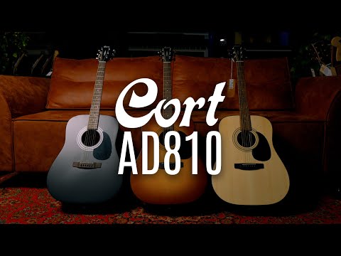 Видео: CORT AD810 ОБЗОР САМАЯ ПОПУЛЯРНАЯ ГИТАРА В 2025
