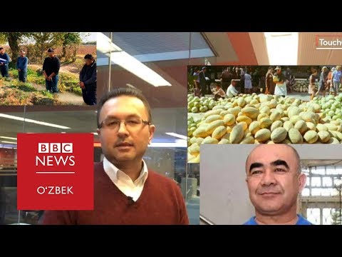 Видео: Ўзбекистон: Зойир Мирзаев ва ширин қовунлар мамлакати