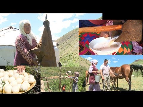 Видео: Алайкуу кымызы кантип жасалат???