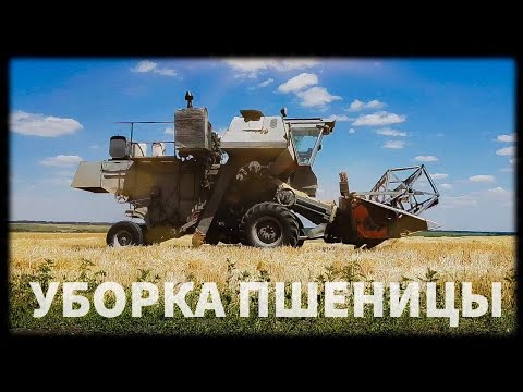 Видео: УБОРКА ПШЕНИЦЫ КОМБАЙНОМ НИВА СК-5. ИНТЕРЕСНЫЕ МОМЕНТЫ!