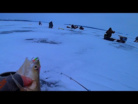Видео: ВОТ и ХАПОК! ТОЛПА ГОНИТ РЫБУ! ПЕРВЫЙ ЛЁД 2024 на ВОДОХРАНИЛИЩЕ! Зимняя рыбалка 2024!