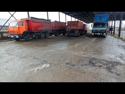 Видео: Снимаю на камеру. Возим жом. Начало объема.