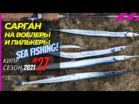 Видео: Как ловить саргана с берега на воблеры и мини-пилькеры 🔥 Рыбалка на Кипре 🇨🇾 Часть - 25 Сезон 2021