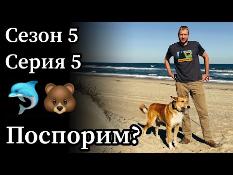 Видео: Охота на медведя у побережья Атлантического океана. Такого мы (вы) ещё не видели!