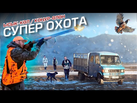 Видео: СУПЕР АҢЧЫЛЫК / КОЁНДОР / КЕКЛИКТЕР АБДАН КӨП