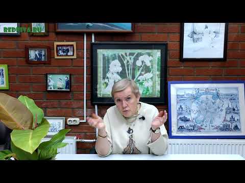 Видео: Отвечаем на вопросы наших зрителей №47