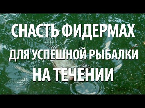 Видео: РЫБОЛОВНАЯ СНАСТЬ ФИДЕРМАХ от ЕВГЕНИЯ СЕРЕДЫ. РЫБАЛКА в ПОДМОСКОВЬЕ на ТРУДНЫХ ВОДОЕМАХ