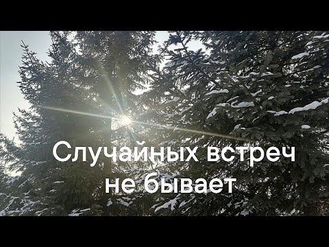 Видео: Случайных встреч не бывает