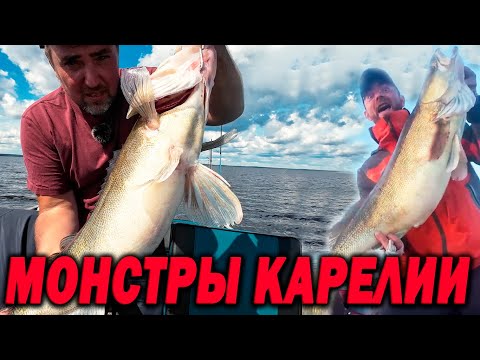 Видео: МОНСТРЫ Карелии! ИХ так МНОГО, что рыбалка теряет СМЫСЛ!