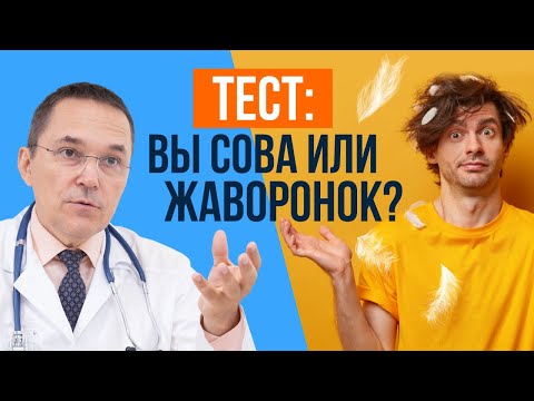 Видео: Сова или жаворонок - кто вы? Пройдите тест