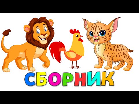Видео: СБОРНИК  про животных | Животные для детей | Карточки Домана