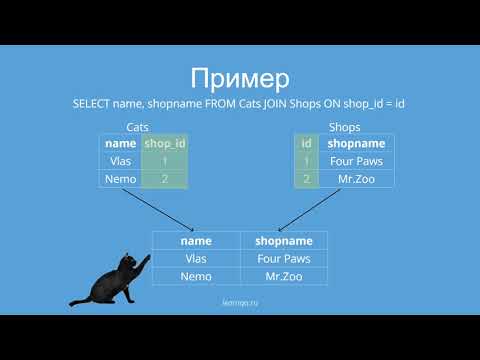 Видео: SQL на котиках: Джоины (Joins)