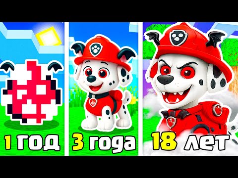 Видео: КАК МЕНЯЛСЯ МАРШАЛ ВАМПИР ЩЕНЯЧИЙ ПАТРУЛЬ ЭВОЛЮЦИЯ В МАЙНКРАФТ