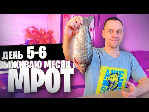 Видео: 5 - 6 день 😱 ВЫЖИВАЮ МЕСЯЦ на МРОТ (ГЕДЗА)