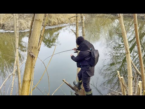Видео: ПОЛ ЦЕ ЛАВА! Виліз на дерево — і РИБА ПІШЛА ОДНА ЗА ОДНОЮ!