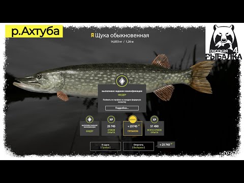 Видео: Russian Fishing 4, #РР4...#Трофейная Щука - р.#Ахтуба. Русская рыбалка 4 #рр4