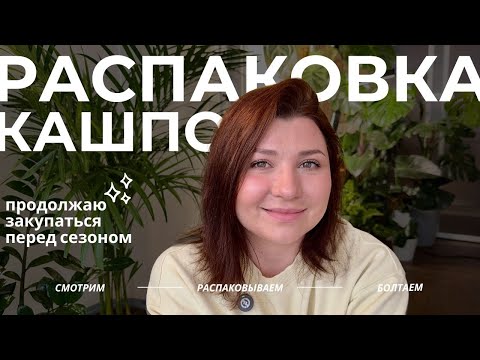 Видео: Новые горшки и кашпо для комнатных растений. Plant*Secrets и KASHPO_GORSHOK