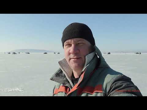 Видео: Рыбалка  перед песчаным на комбайны и наживу