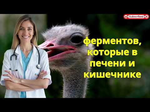 Видео: Уролог раскрывает: почему зелёный чай не помогает без этого простого секрета
