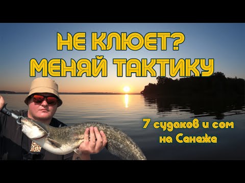 Видео: Не клюет? Меняй тактику! 7 судаков на Сенеже + бонусный сом!