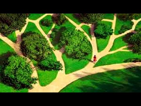 Видео: Дорога жизни, отношения, выбор. Разговор со Светланой.