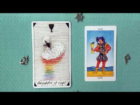 Видео: Паж Чаш (Дочь кубков) через символы Дикого Неизвестного Таро