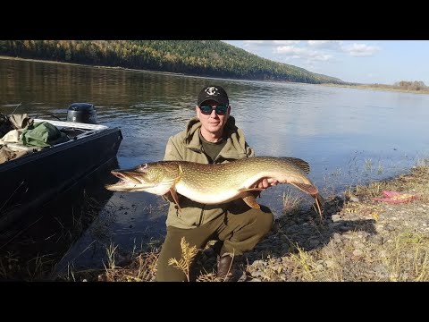 Видео: 15 дней на охоте и рыбалке