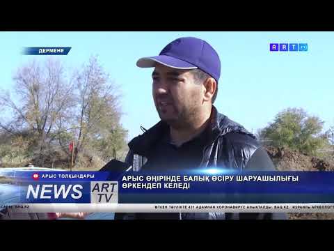 Видео: АРЫС ӨҢІРІНДЕ БАЛЫҚ ӨСІРУ ШАРУАШЫЛЫҒЫ ӨРКЕНДЕП КЕЛЕДІ