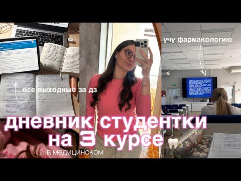 Видео: 3 курс в медицинском🦷 фарма, патфиз, патан