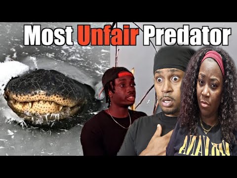 Видео: Почему это самый страшный хищник всех времён | Casual Geographic Reaction