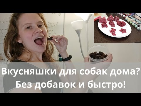 Видео: Лакомство для собак ИЗ МЯСА. Как сделать? Курица, говядина или индейка? Дрессировка собак