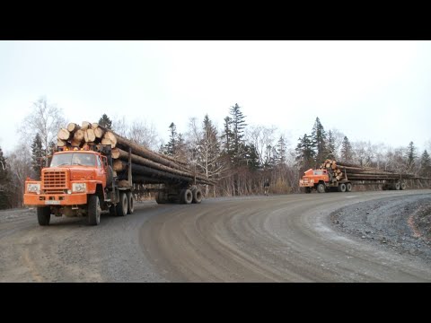 Видео: Nissan Diesel#UZA-520 с Роспуском.