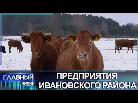 Видео: Ивановщина — аграрный край и лидер Брестской области по производству молока. Место для жизни
