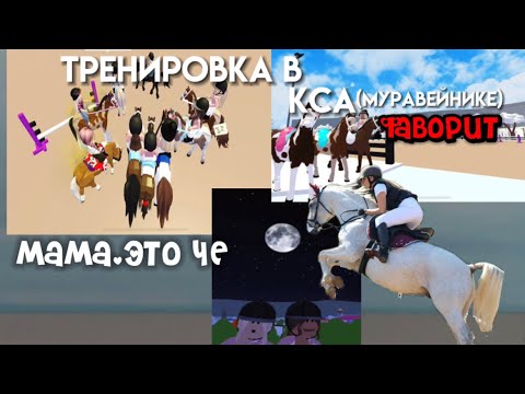 Видео: Изменения?! Что с фаворитом? Тренировка в фаворите