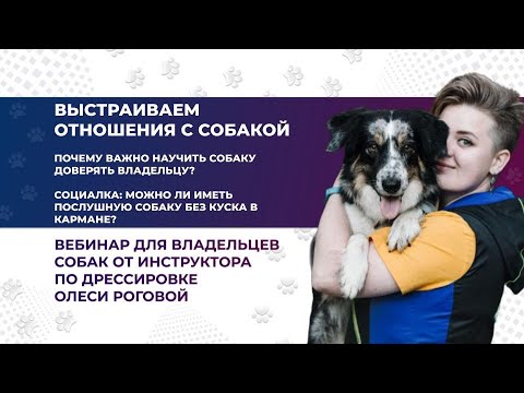 Видео: "ВЫСТРАИВАЕМ ОТНОШЕНИЯ С СОБАКОЙ. Почему важно научить собаку доверять владельцу?". Вебинар №3