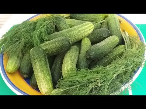Видео: Малосольные огурчики два способа.