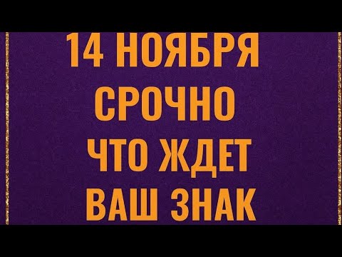 Видео: 14 ноября - Срочно. Смотрите, что ждёт каждый знак зодиака. 