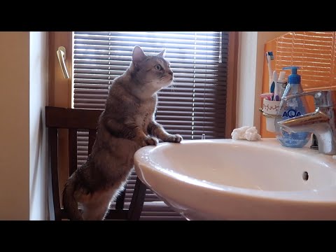 Видео: ВЛОГ: МЫ ВЕРНУЛИСЬ