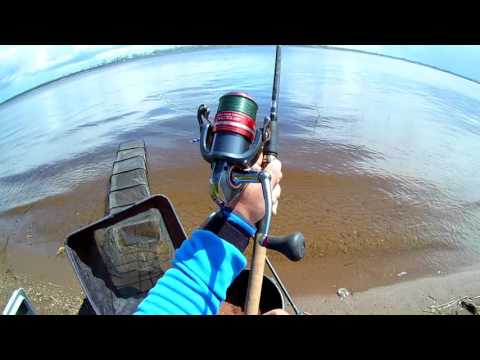 Видео: Эхолот Практик 7 WiFi : практическое использование, фидер.