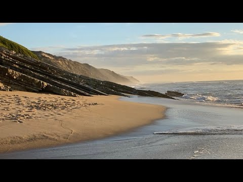 Видео: ОКЕАН И ПОРТУГАЛИЯ НА СВЯЗИ OCEAN PORTUGAL LIVE STREAM #livestream #прямойэфир