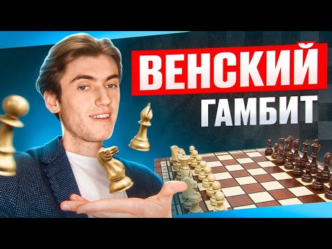 Видео: НЕ ГАМБИТ, А МЕЧТА! ЛУЧШИЙ ГАМБИТ ДЛЯ ЛЮБОГО УРОВНЯ!