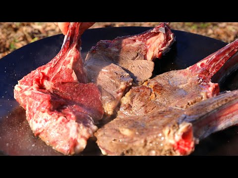 Видео: 5 КГ МЯСА на САДЖЕ. ЛУЧШЕЕ БЛЮДО на КОСТРЕ. ENG SUB