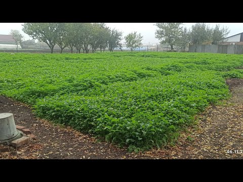 Видео: Завершение сезона. 09.11.2025