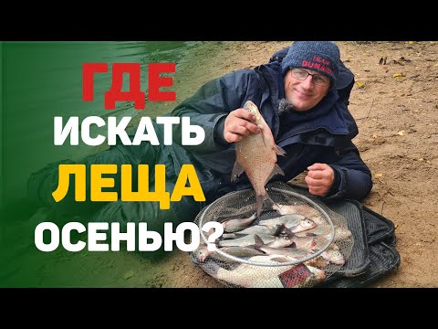 Видео: Где искать леща осенью?